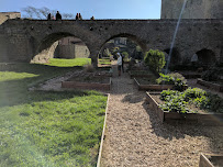 Château Comtal du Restaurant Adélaïde à Carcassonne - n°16
