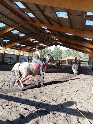 Centre Equestre de Lesparre à Lesparre-Médoc