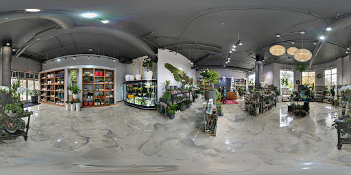 Florist «Red Square Flowers», reviews and photos, 337 W Mifflin St, Madison, WI 53703, USA