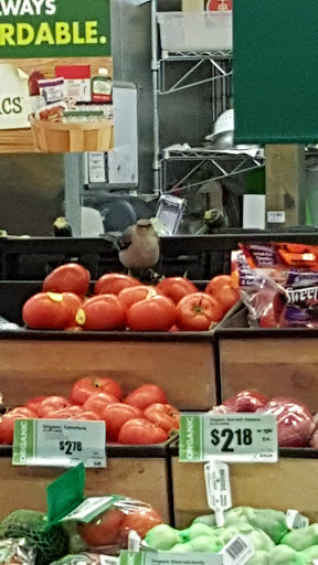 Grocery Store «H-E-B Grocery», reviews and photos, 3804 US-377, Granbury, TX 76049, USA