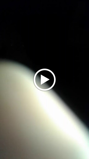 Night Club «Club Deja Vu», reviews and photos, 2810 Market St, Youngstown, OH 44507, USA