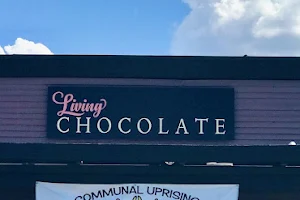 Living Chocolate image