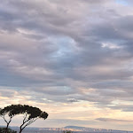 Photo n°4 de l'avis de Noriko.a fait le 09/05/2023 à 04:49 sur le  Hotel Marina Piccola à Manarola