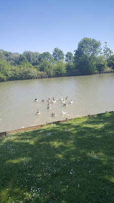 Quai fluvial de Guarbecque à Guarbecque