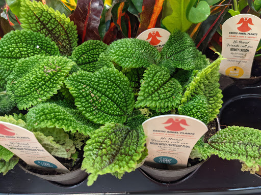 Supermarket «Best Market Massapequa», reviews and photos, 5601 Merrick Rd, Massapequa, NY 11758, USA