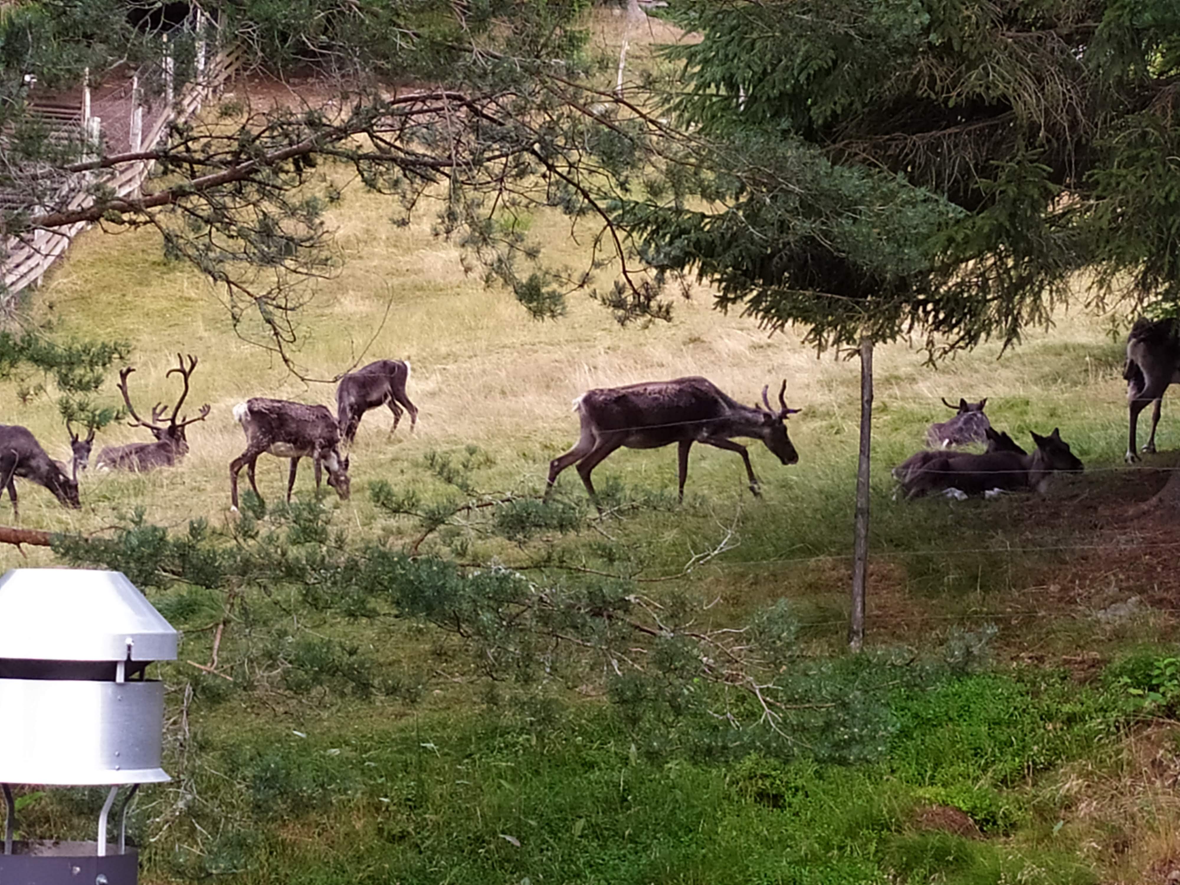 Photo n° 5 de l'avis de Eric.o fait le 10/11/2019 à 19:26