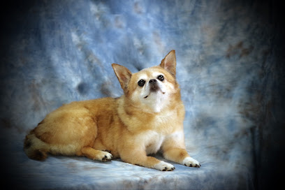 Animal Family Pet Preservation