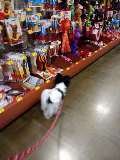 Pet Supply Store «PetSmart», reviews and photos, 2216 E Springs Dr, Madison, WI 53704, USA