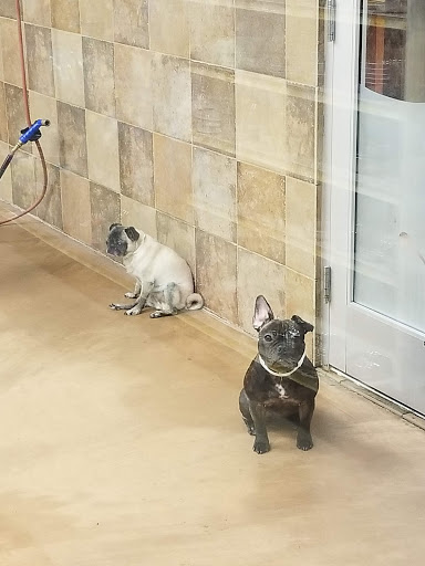 Pet Supply Store «PetSmart», reviews and photos, 5722 Fairmont Pkwy, Pasadena, TX 77505, USA