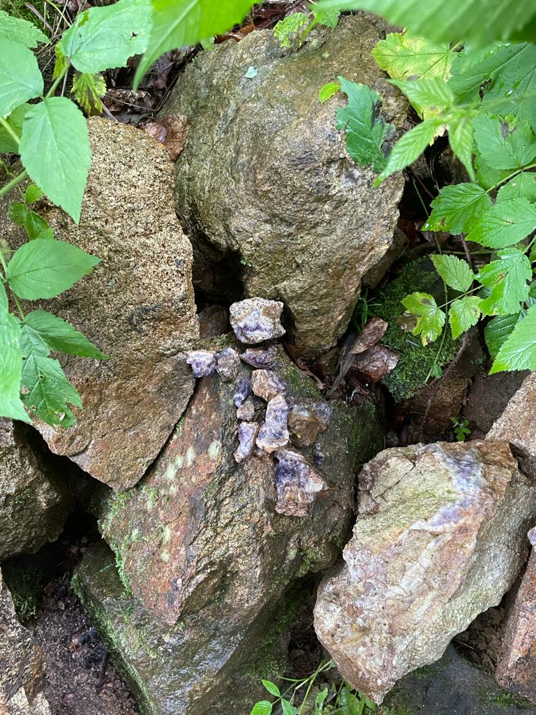Photo n° 1 de l'avis de Mélissa.o fait le 20/07/2021 à 14:11