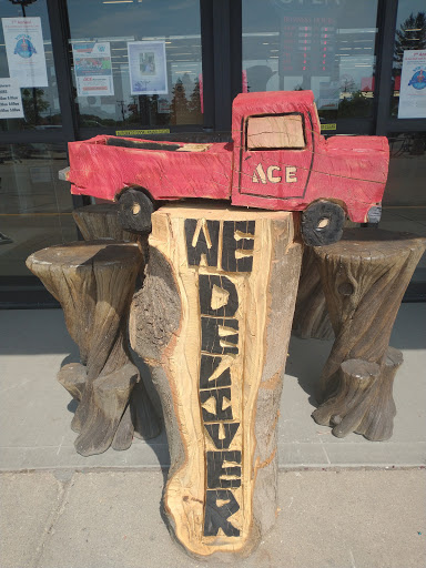 Hardware Store «Ace Hardware», reviews and photos, 155 Peterson Rd, Libertyville, IL 60048, USA