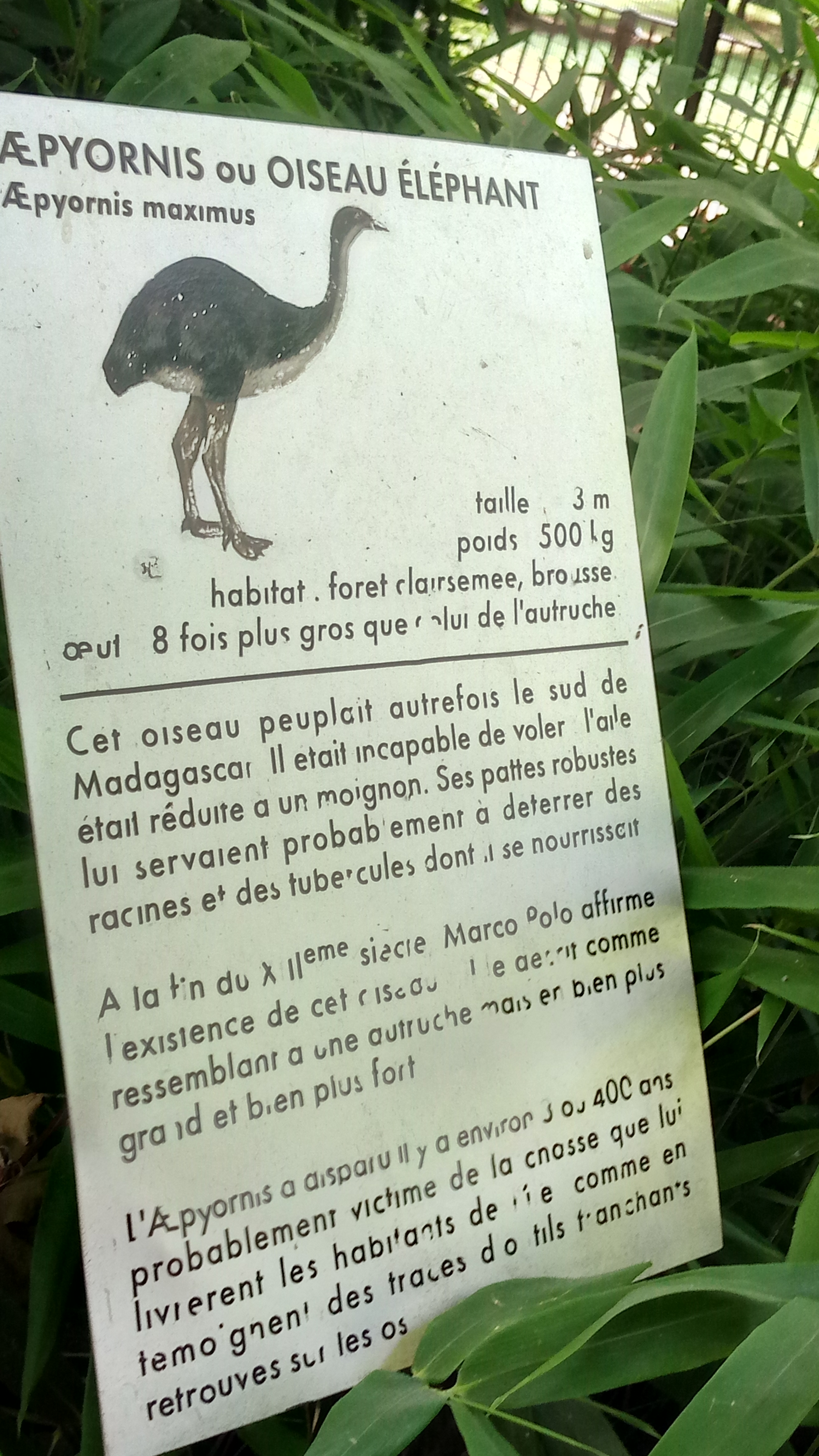 Photo n° 16 de l'avis de patrice.a fait le 12/07/2019 à 07:54