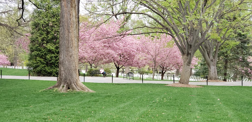 Monument «The Tomb of the Unknowns», reviews and photos, 1 Memorial Ave, Fort Myer, VA 22211, USA