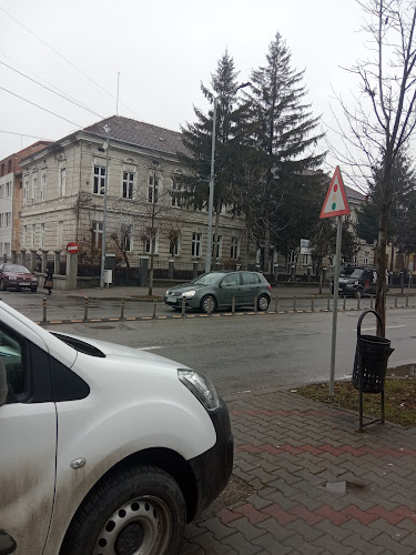 Strada Alexandru Odobescu 8, Bistrița 420043, România