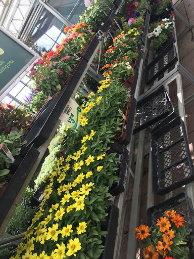 Hardware Store «Dale Hardware Inc», reviews and photos, 3700 Thornton Ave, Fremont, CA 94536, USA