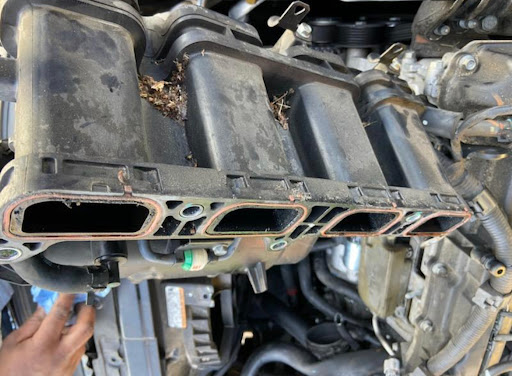 Auto Repair Shop «Big Mechanic», reviews and photos, 4946 Gall Blvd, Zephyrhills, FL 33542, USA