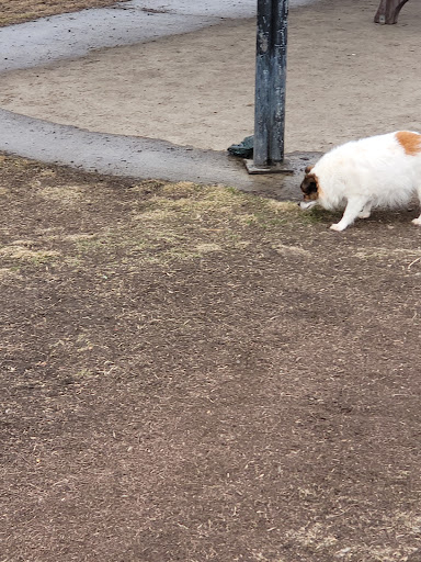 Dog Park «Dog Park», reviews and photos, 851 17th Ave SW, Altoona, IA 50009, USA