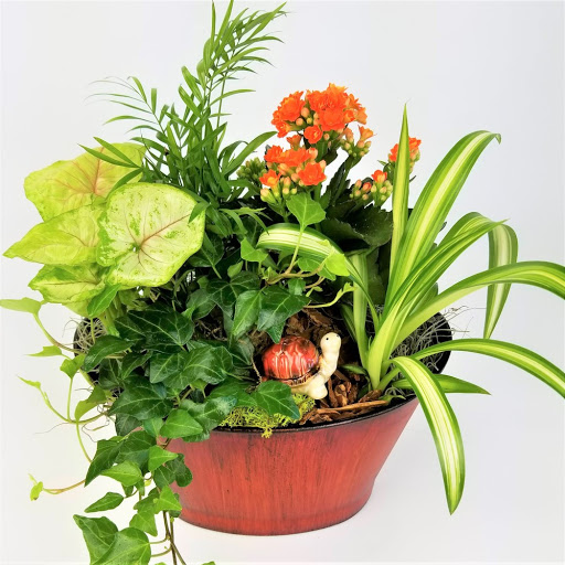 Florist «Stadium Flowers», reviews and photos, 3632 Broadway, Everett, WA 98201, USA