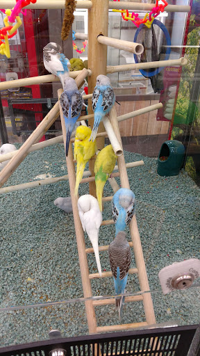 Pet Supply Store «Petco Animal Supplies», reviews and photos, 3525 W Victory Blvd, Burbank, CA 91505, USA