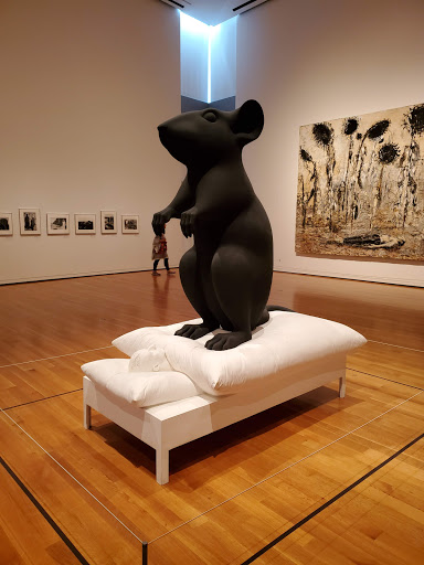 Art Gallery «SAM Gallery», reviews and photos, 1300 1st Ave, Seattle, WA 98101, USA