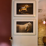 Photo n°5 de l'avis de A.a fait le 07/06/2020 à 11:23 sur le  A Caseta à Lisbon