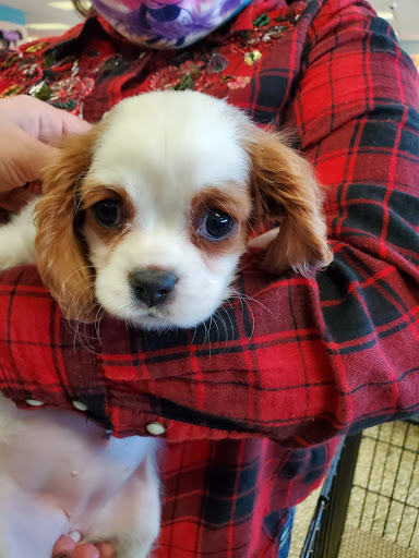 Pet Supply Store «Pet Ranch», reviews and photos, 3823 E 120th Ave, Denver, CO 80233, USA