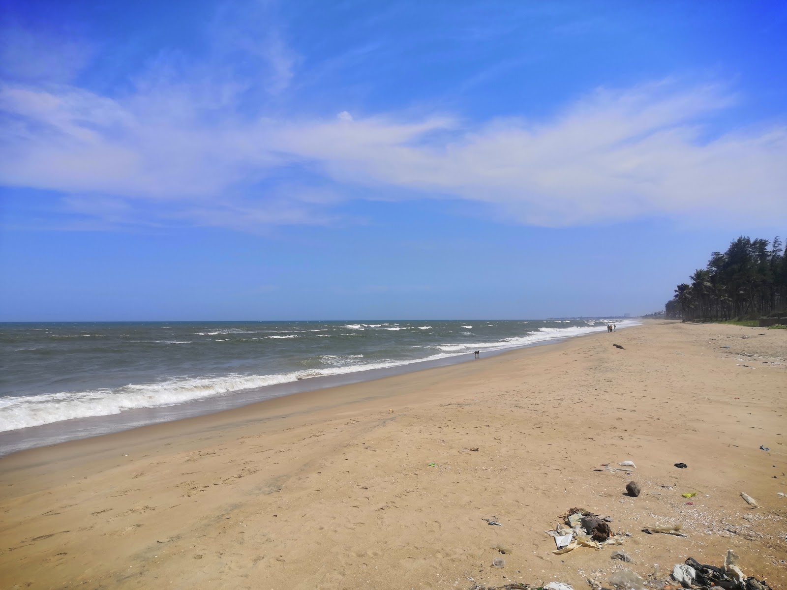 Foto di Kanathur Beach - luogo popolare tra gli intenditori del relax