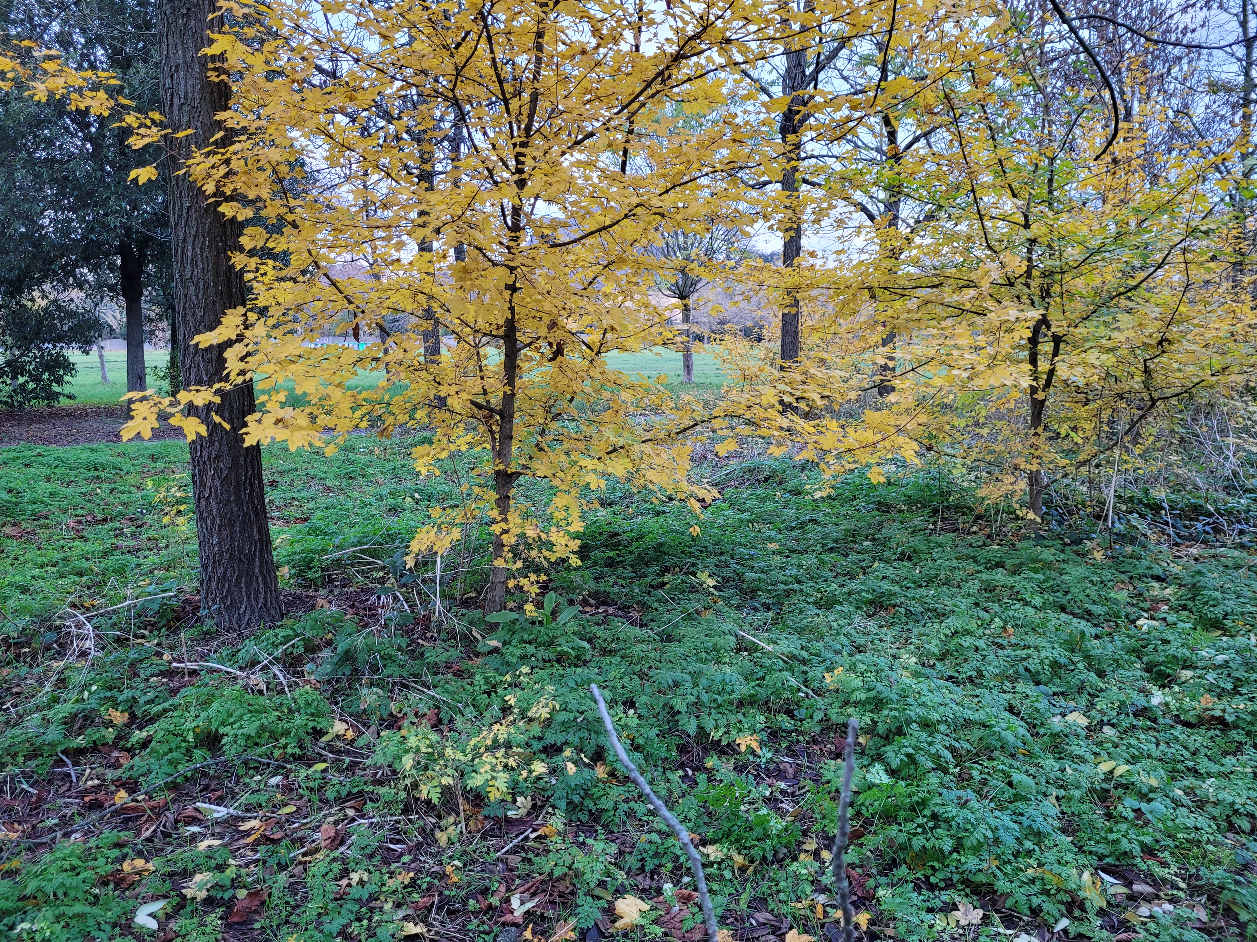 Photo n° 26 de l'avis de ernest.o fait le 17/08/2018 à 17:20