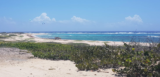 Grapefield beach