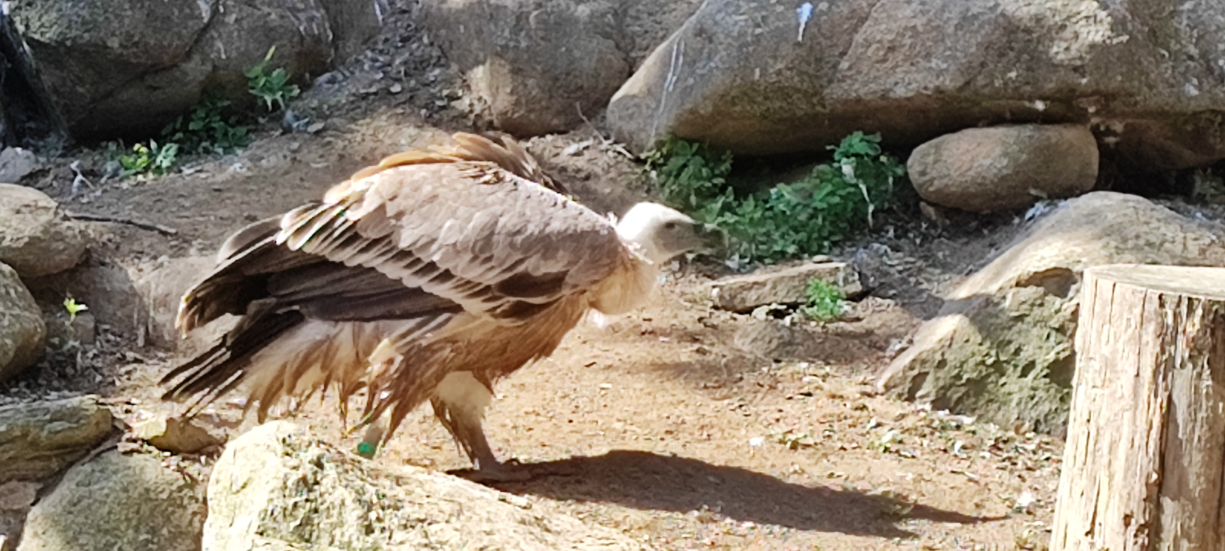 Photo n° 8 de l'avis de Thierry.i fait le 28/09/2023 à 17:40