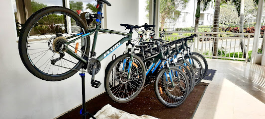Revolution Mobile Bike Repairs - Gold Coast