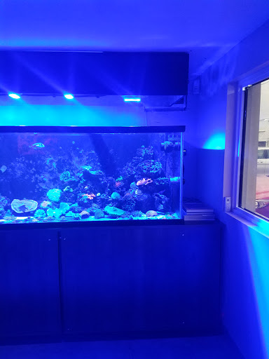Tropical Fish Store «Hydra Aquatics International, Inc.», reviews and photos, 1300 Stirling Rd #7a, Dania Beach, FL 33004, USA