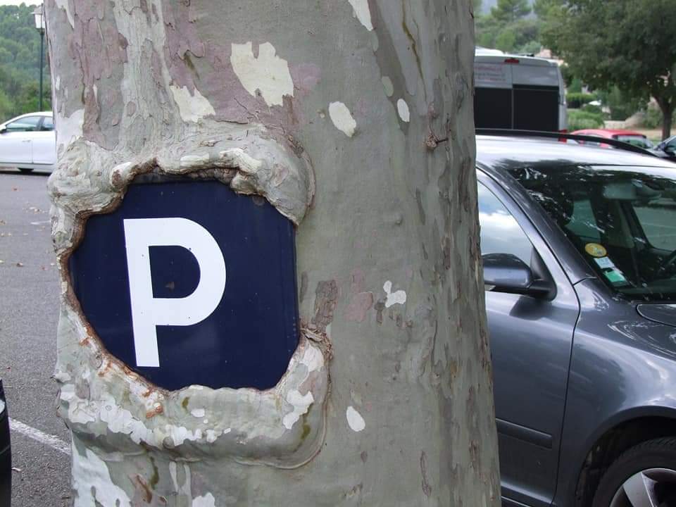 Photo n° 19 de l'avis de stephane.a fait le 09/09/2020 à 19:39