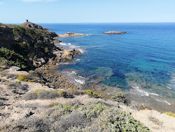 Spiaggia S'Umbra'in fotoğrafı çok temiz temizlik seviyesi ile