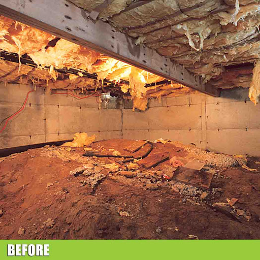 Concrete Contractor «Alpha Foundations», reviews and photos