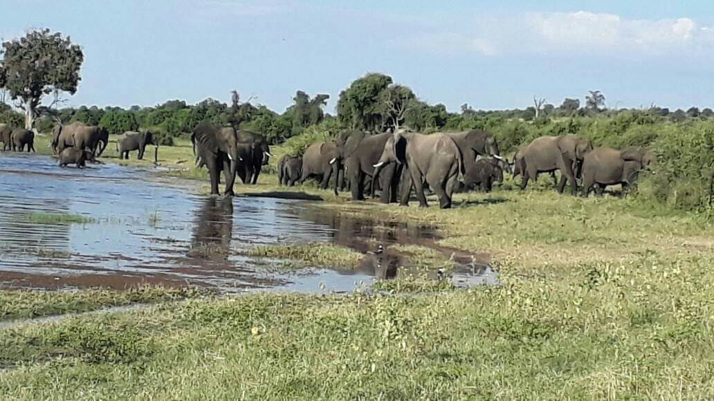 nane nane tours and safaris