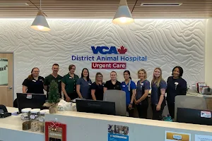 VCA Canada District Animal Hospital & Urgent Care image