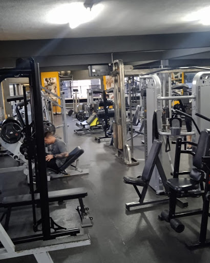 Logo da empresa - Academia Link Fit