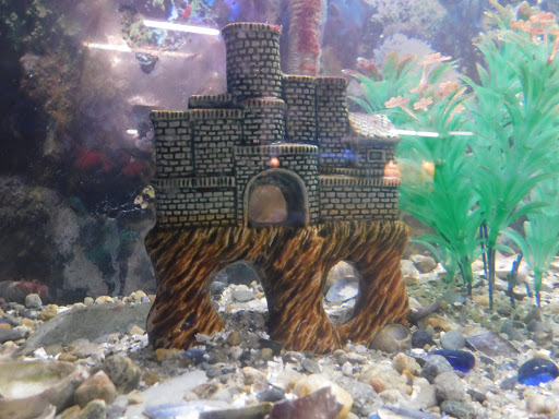 Aquarium «Biomes Marine Biology Center», reviews and photos, 6640 Post Rd, North Kingstown, RI 02852, USA