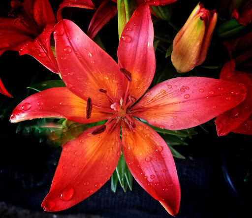 Supermarket «Price Chopper», reviews and photos, 6750 PA-706, Montrose, PA 18801, USA