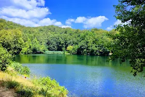 Lacul Bodi Ferneziu image