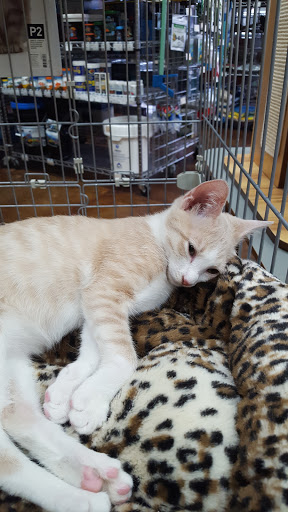 Pet Supply Store «Odyssey Pets», reviews and photos, 14999 Preston Rd #400a, Dallas, TX 75254, USA