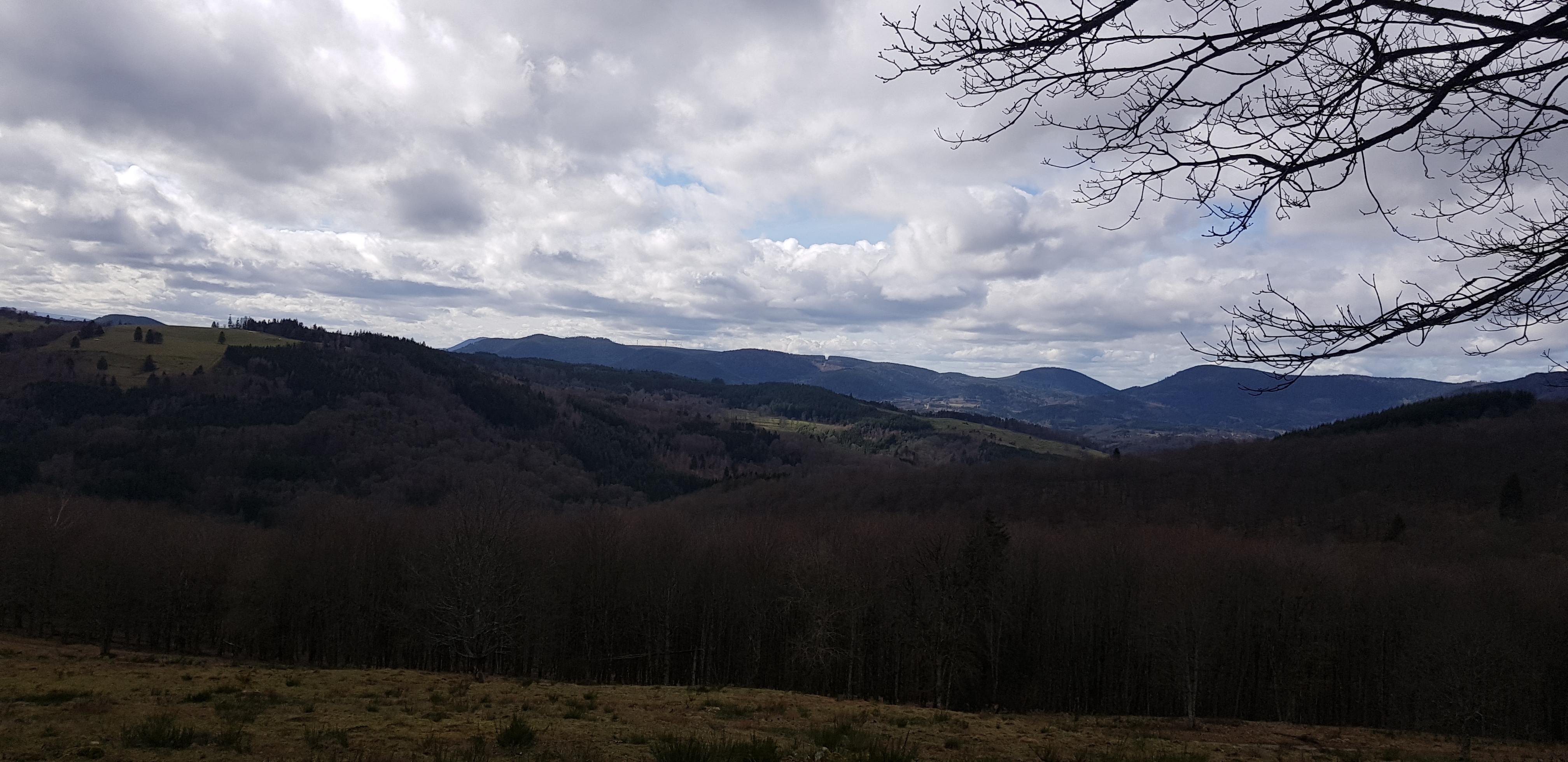 Photo n° 14 de l'avis de Celine.V fait le 05/03/2020 à 17:19