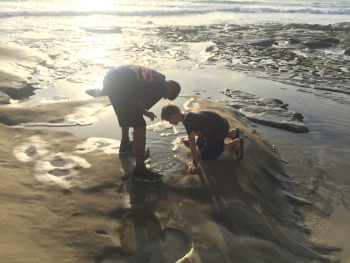 Stationery Store «Sweet Paper», reviews and photos, 7660 Fay Ave, La Jolla, CA 92037, USA