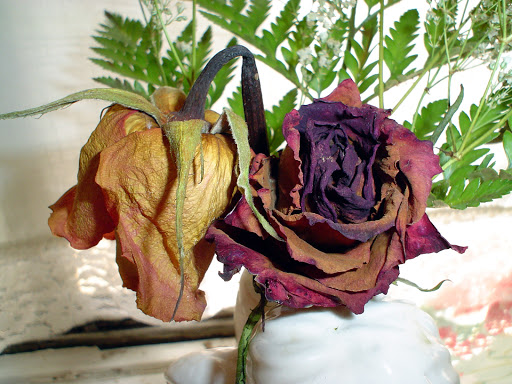 Florist «Omel Flowers», reviews and photos, 5898 W 16th Ave, Hialeah, FL 33012, USA