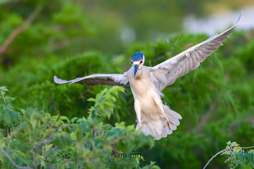  «Ocean City Welcome Center», reviews and photos, 300 W 9th St, Ocean City, NJ 08226, USA