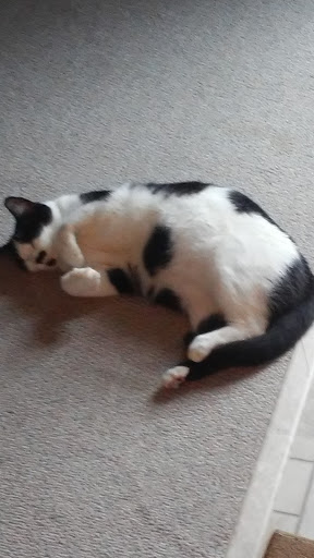 Amusement Park «Casino Pier & Breakwater Beach», reviews and photos, 800 Ocean Terrace, Seaside Heights, NJ 08751, USA