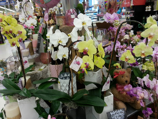 Grocery Store «Jewel-Osco», reviews and photos, 805 Joliet St, Dyer, IN 46311, USA