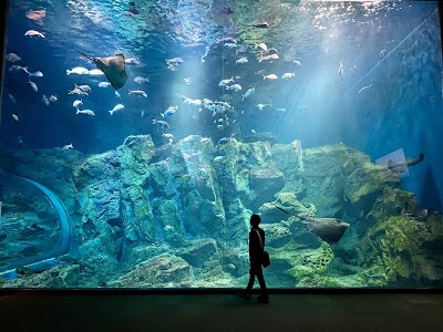 男鹿水族館GAO