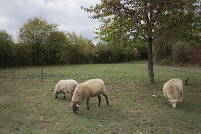 Ferme animalière du Parc Maugrand à Montceau-les-Mines